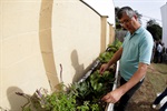 Vereadores destacam a revitalização do Jardim Sensorial do Avistar