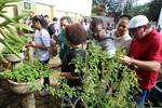Vereadores destacam a revitalização do Jardim Sensorial do Avistar