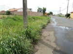Ronaldo Moschini pede calçada em área no bairro Bela Vista