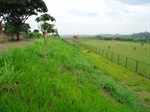 Vereador sugere aproveitamento da área ao lado do campo