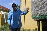 Arte feita com garrafas plásticas retém água da chuva