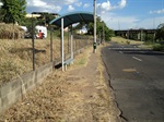 Parlamentar solicitou limpeza na 31 de Março