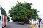 Rua Maria Guilhermina Lopes Fagundes - Parque dos Eucaliptos