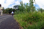 Rua Maria Guilhermina Lopes Fagundes - Parque dos Eucaliptos