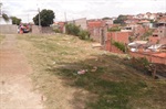 Área verde do bairro ainda precisa de limpeza geral