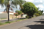 Avenida Edne Rontani Bassef precisa de lombada