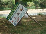 Placa caída