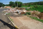 Área verde entre as ruas Jorge Calile e das Oliveiras requer limpeza