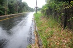 Pedestres são obrigados a caminhar por meio-fio em avenida