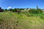 Área verde de 20 mil metros quadrados abriga nascente no Jardim Costa Rica