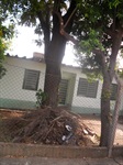 Centro Social do Jardim Esplanada