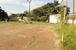 Mato alto é uma das preocupações dos moradores