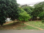 Área verde entre as Ruas Maria Spolidoro Trevisan e João Marcos Ometto - antes da solicitação