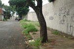 Corte de mato na alameda Melvin Jones é solicitado na indicação 1222