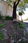 Rua Guilherme Hoeppner