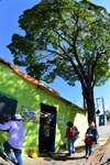 Árvore rua José Vicente Pedreira