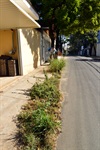 Rua Carmine Testa x José Vicente Pedreira