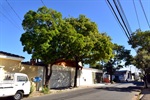 Rua Carmine Testa x José Vicente Pedreira