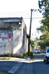 Árvore rua José Vicente Pedreira