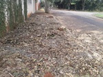 Eles solicitam asfalto, limpeza e iluminação