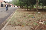 Rua Militão José da Rocha precisa de benfeitorias