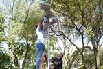 Núcleo de Arborização instala luzes amarelas que imitam a radiação solar