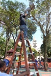 Núcleo de Arborização instala luzes amarelas que imitam a radiação solar
