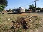 Retirada de lixo e entulho de área verde que se transformou em pátio de estacionamento de ônibus - avenida Romeu Ítalo Rípoli x avenida Lourenço Filho - Cecap