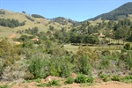 Montanhas reflorestadas