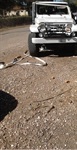 Colisão na rua Monte Alto, onde o vereador pede lombada e placas de sinalização