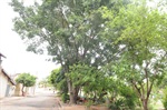Rua Jaime Bombo