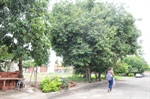 Rua Jaime Bombo