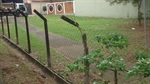 Complexo esportivo do bairro Paulicéia ganha melhoramentos
