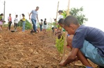 Plantio de mudas no Parque Piracicaba