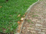 Praça José Francisco Coimbra Neto - Caxambu