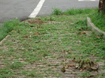 Praça José Francisco Coimbra Neto - Caxambu