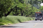 População do Santa Rita requer capinação e limpeza de avenida