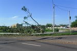 Queda da árvore, no dia 9, danificou o guard-rail da avenida Rio das Pedras
