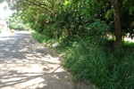 Corte de mato do canteiro central da avenida Franco da Rocha, entre as ruas Florinea e Estrela do Oeste