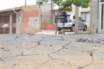 Rua Maria Stengle parece um "campo minado" com tantos buracos e afundamentos no asfalto