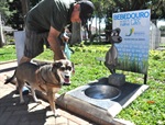 Bebedouro para cães e gatos 