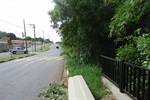 Avenida Luiz Pereira Leite precisa de calçada