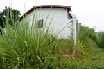 PSF Costa Rica 