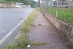 Avenida Brasília: corte de mato e limpeza da calçada