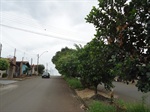 Canteiro central da avenida Aloísio Batista da Silva