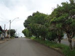 Canteiro central da avenida Aloísio Batista da Silva