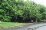 Parlamemtar solicitou corte de mato, limpeza e revitalização de área verde na rua Claudelis Nolasco