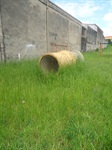 Abandono