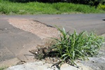 Asfalto do bairro está danificado