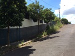Mato alto na calçada da rua Padre João